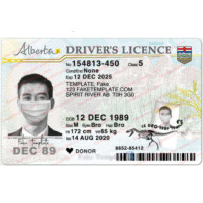 Alberta Drivers License Template