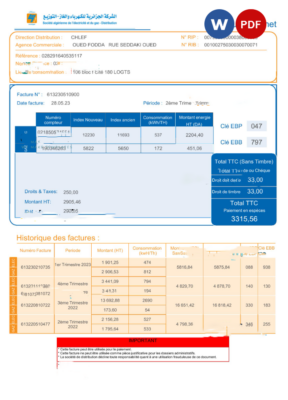 Algeria Societe Algerien Distribution internet utility bill Word and PDF template