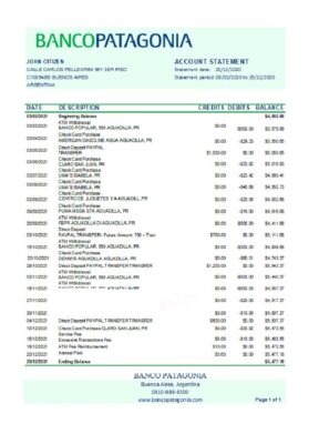 Argentina Banco Patagonia bank statement template in Excel and PDF format