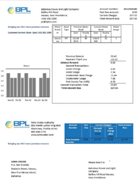 Bahamas Power and Light Company utility bill template in Word and PDF format