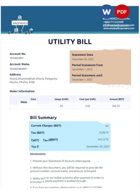 BANGLADESH WAZIPADICO POWER utility bill Word and PDF template