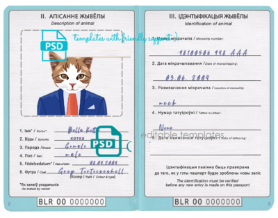 Belarus cat (animal, pet) passport PSD template, fully editable