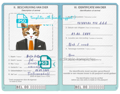 Belgium cat (animal, pet) passport PSD template, fully editable