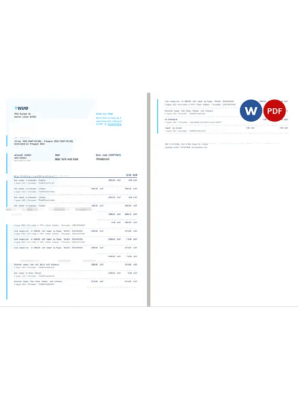 Belgium Wise bank statement, Word and PDF template, 2 pages