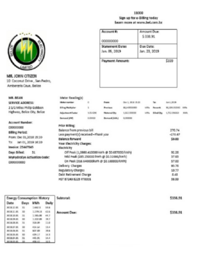 Belize Electricity Limited electricity utility bill template in Word and PDF format