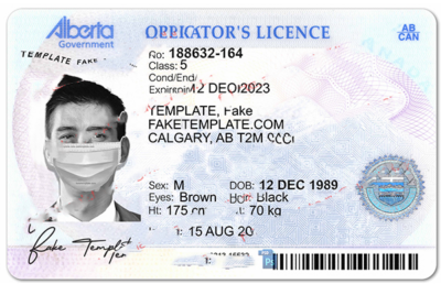 Blank Alberta Drivers License Template V2