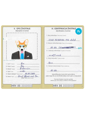 Bosnia and Herzegovina dog (animal, pet) passport PSD template, fully editable