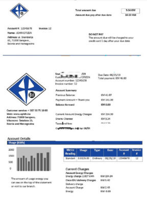 Bosnia and Herzegovina Elektroprivreda BiH electricity utility bill template in Word and PDF