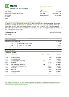 Brazil TD bank statement easy to fill template in Excel and PDF format