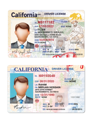 California Driver License Psd Template V1 & V2 (Multi Version)