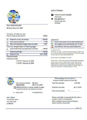 Cambodia Solar Green Energy Cambodia Co utility bill template in Word and PDF format