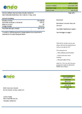 Cameroon ENEO electricity utility bill template in Word and PDF format