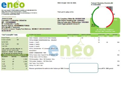 Cameroon ENEO electricity utility bill template in Word and PDF format (current version)