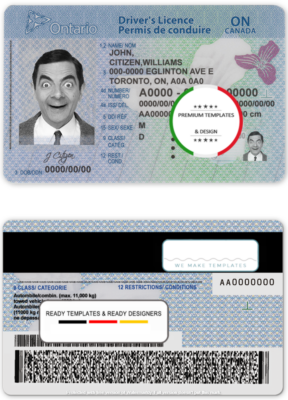 Canada Ontario driving license template in PSD format (2018 – present)