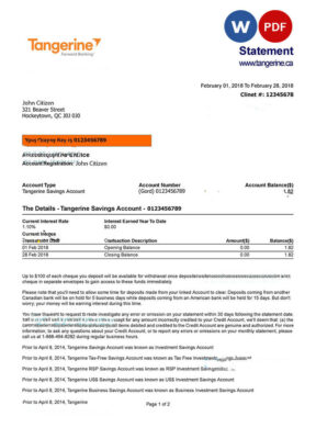 CANADA TANGERINE bank statement Word and PDF template