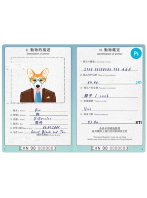 China dog (animal, pet) passport PSD template, completely editable