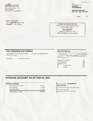 Citibank Bank Statement Template (3 Pages)