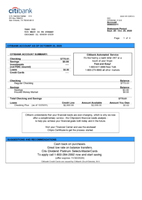 Citibank Bank Statement Template (4 Pages)