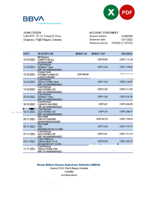 Colombia BBVA bank statement Excel and PDF template (AutoSum)