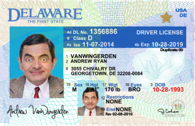 Delaware Driver License Template V2