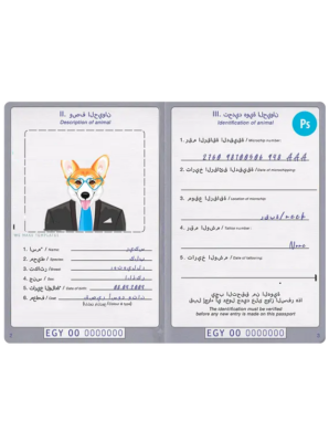 Egypt dog (animal, pet) passport PSD template, completely editable