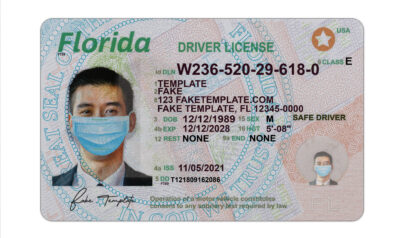 Florida Driver License Psd New