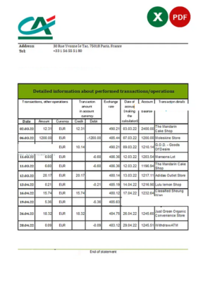 France Credite Agricole Bank statement Excel and PDF template