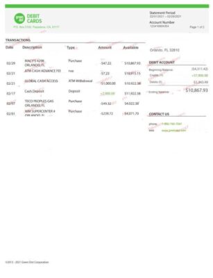 Greendot Bank Statement Template