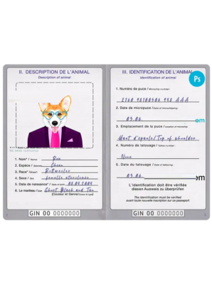 Guinea Dog (animal, pet) passport PSD template, fully editable