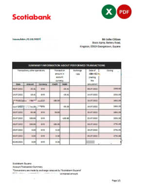 Guyana Bank of Nova Scotia statement Excel and PDF template