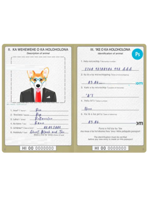 Hawaii dog (animal, pet) passport PSD template, completely editable