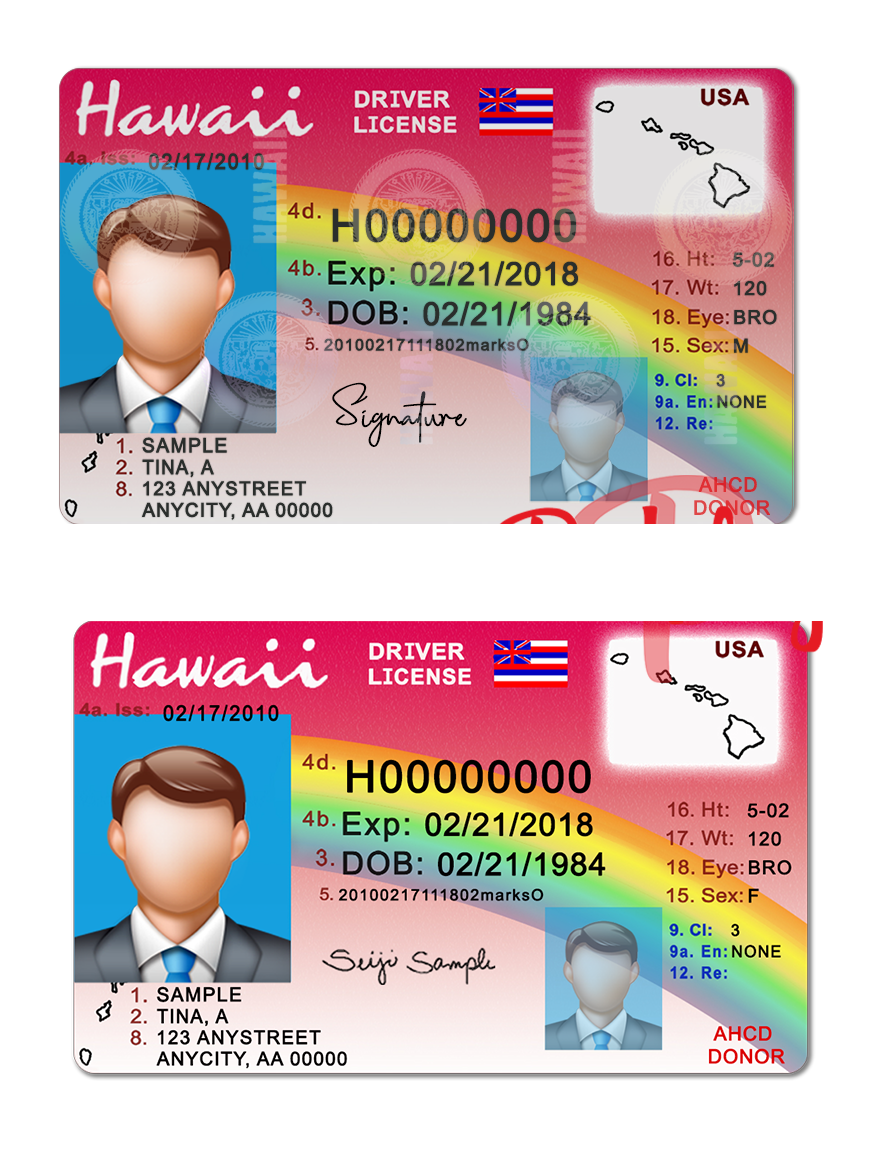 Hawaii Driver License Psd Template Multi Version Download Passport Psd Template Download