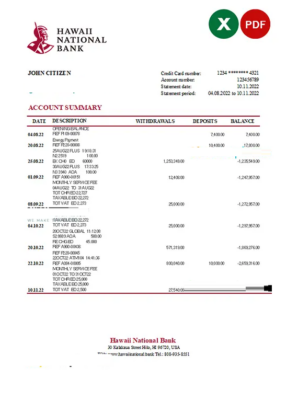 Hawaii National Bank statement Excel and PDF template