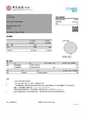 Hong Kong Bank of China (Hong Kong) bank statement easy to fill template in Excel and PDF format