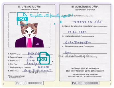 Iceland cat (animal, pet) passport PSD template, completely editable