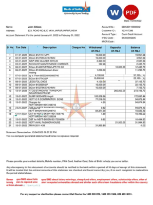 India Bank of India bank statement Word and PDF template