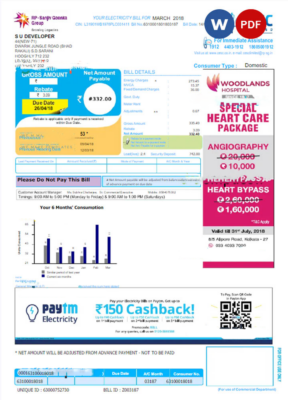 INDIA CESC LIMITED utility bill Word and PDF template