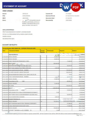 INDIA DCB bank statement Word and PDF template