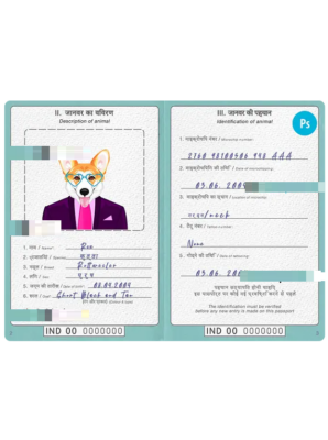 India dog (animal, pet) passport PSD template, completely editable