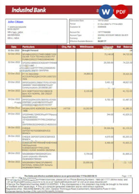 INDIA INDUSLND bank statement Word and PDF template