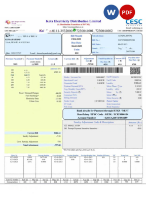 INDIA KOTA ELECTRICITY utiity bill Word and PDF template