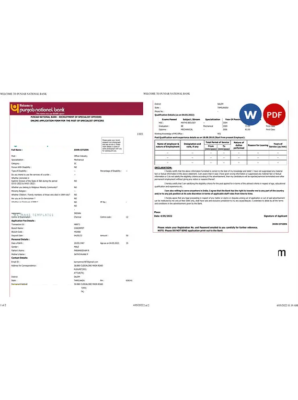 India Punjab National Bank statement Word and PDF template, 2 pages, version 2