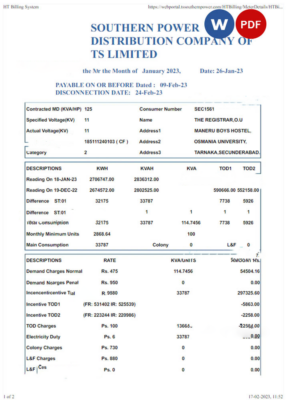 INDIA SOUTHERN POWER utility bill Word and PDF template