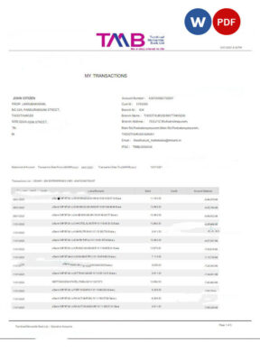 INDIA TAB bank statement Word and PDF template