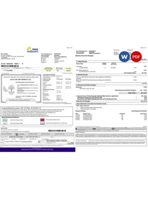 India Tata Indicom mobile utility bill template in Word and PDF format, 2 pages