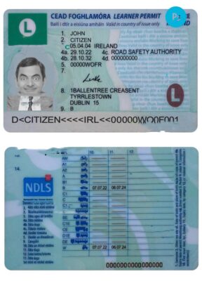 Ireland driving license (learner permit) template in PSD format, 2022- present