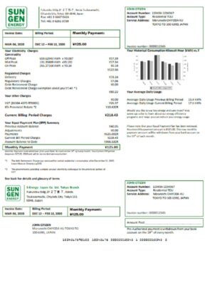 Japan S-Energy Japan Co. Ltd. Tokyo Branch utility bill template in Word and PDF format