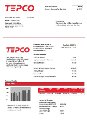 Japan Tokyo Electric Power Company electricity utility bill template in Word and PDF format