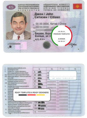 Kyrgyzstan driving license template in PSD format, fully editable