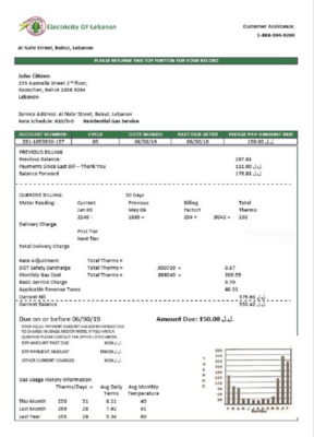 Lebanon Electricity of Lebanon utility bill template in Word and PDF format